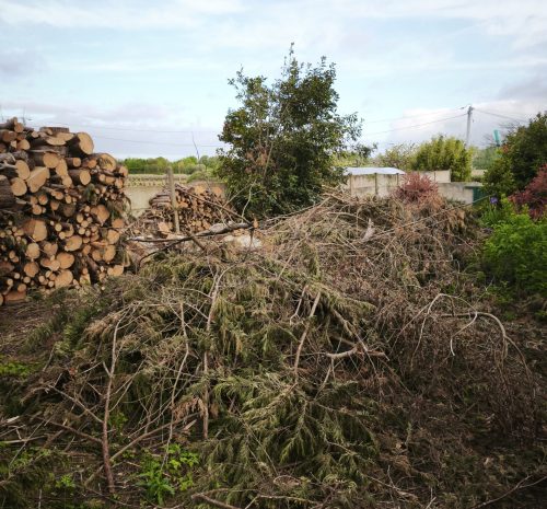 broyage-branche-vallet-arbres-et-eau (2)