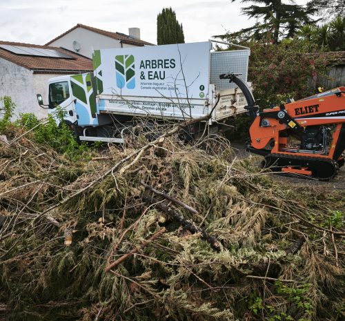 broyage-branche-vallet-arbres-et-eau (3)
