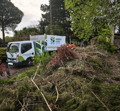 broyage-branche-vallet-arbres-et-eau