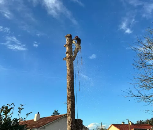 demontage-retention-pin-beaupreau-en-mauges (2)