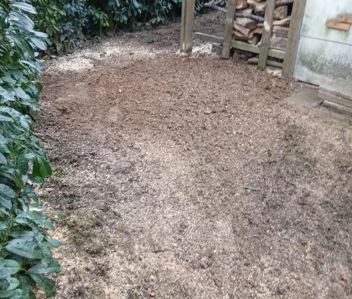 demontage-retention-pin-beaupreau-en-mauges-arbres-et-eau