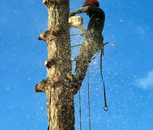 demontage-retention-pin-beaupreau-en-mauges