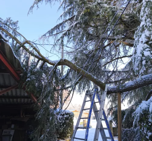 intervention-urgence-arbre-arbres-et-eau-mouzillon