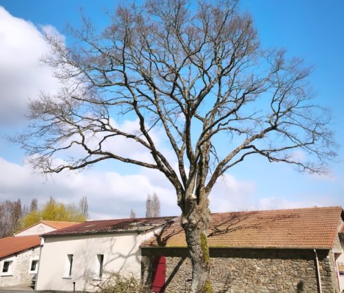 Après