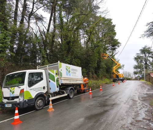 taille-redusction-chene-nacelle-monfaucon-montigne-arbreseteau (2)