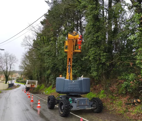 taille-redusction-chene-nacelle-monfaucon-montigne-arbreseteau (3)