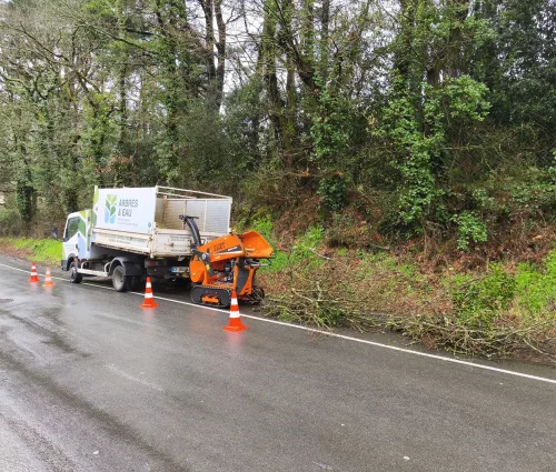 taille-redusction-chene-nacelle-monfaucon-montigne-arbreseteau (4)