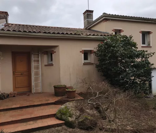 urgence-démontage-pin-parasol-tempete-tillieres-arbreseteau (3)